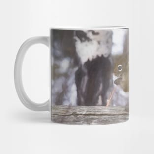 Squirrel on the fence illustration Mug